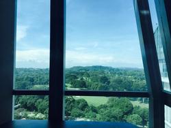 thomson-grand photo thumbnail #8